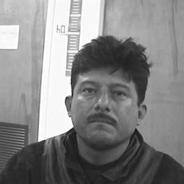 David Segura Sanchez