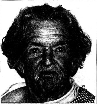 Florence Cline