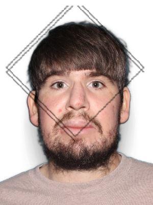 Logan Drew Long