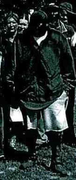 Robert Brown