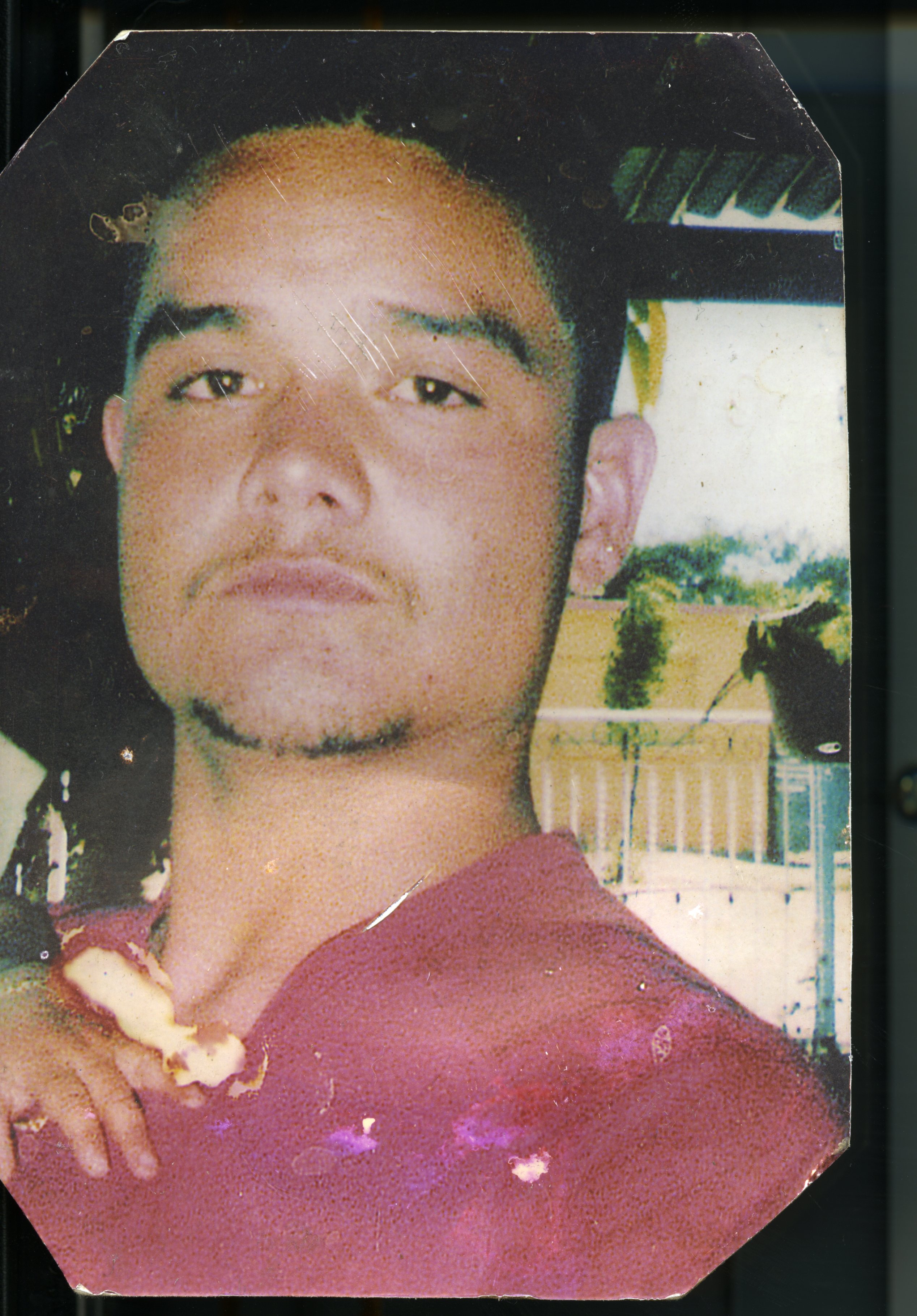 Jesus Palomino - Ponce