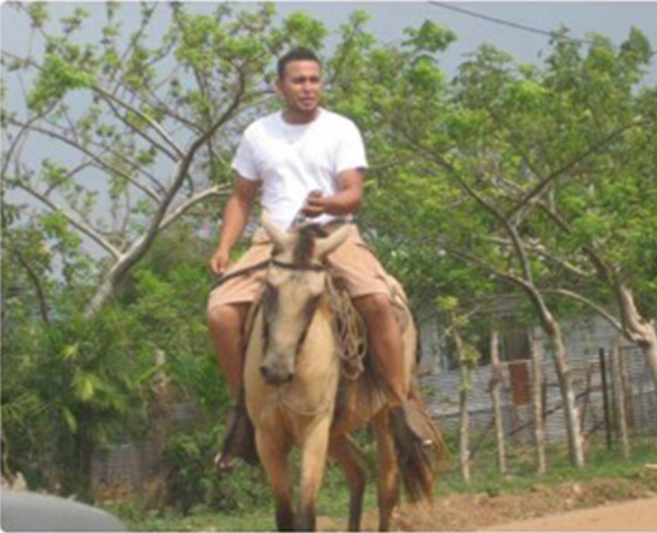 Francis Pineda Martinez