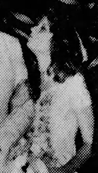 Zaida Stockberger