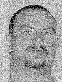 Daniel Schmiedt