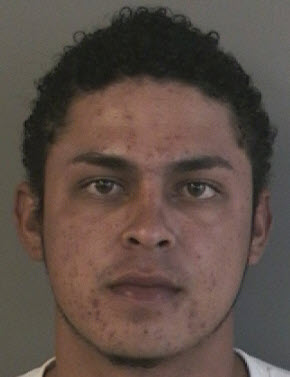 Maynor Vaile