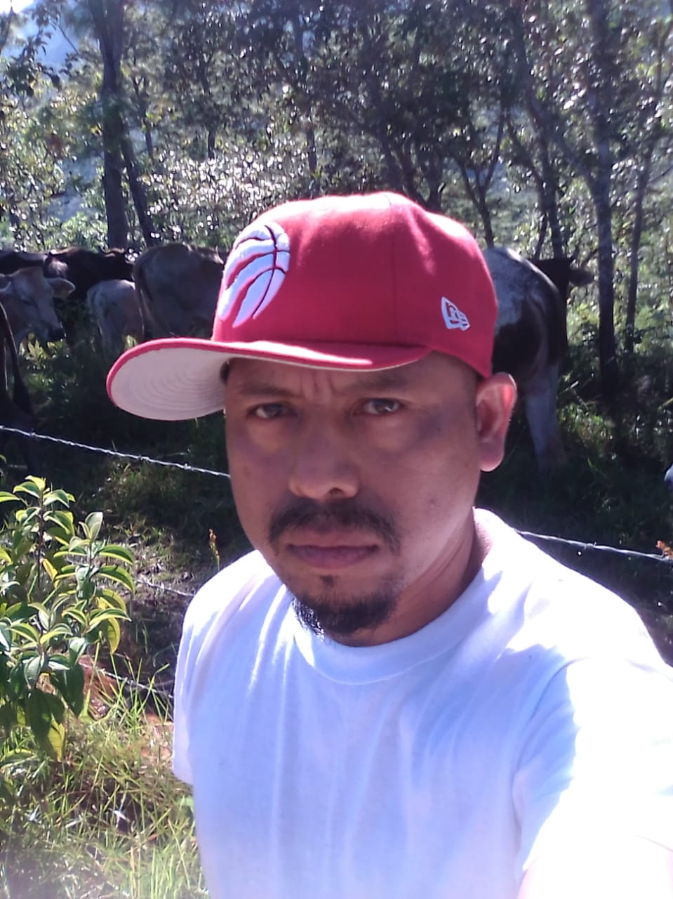 Josue Sanchez Sanchez