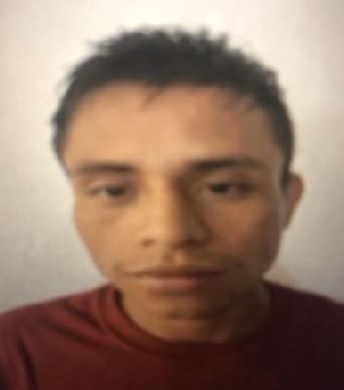 Alfredo Domingo -Sales