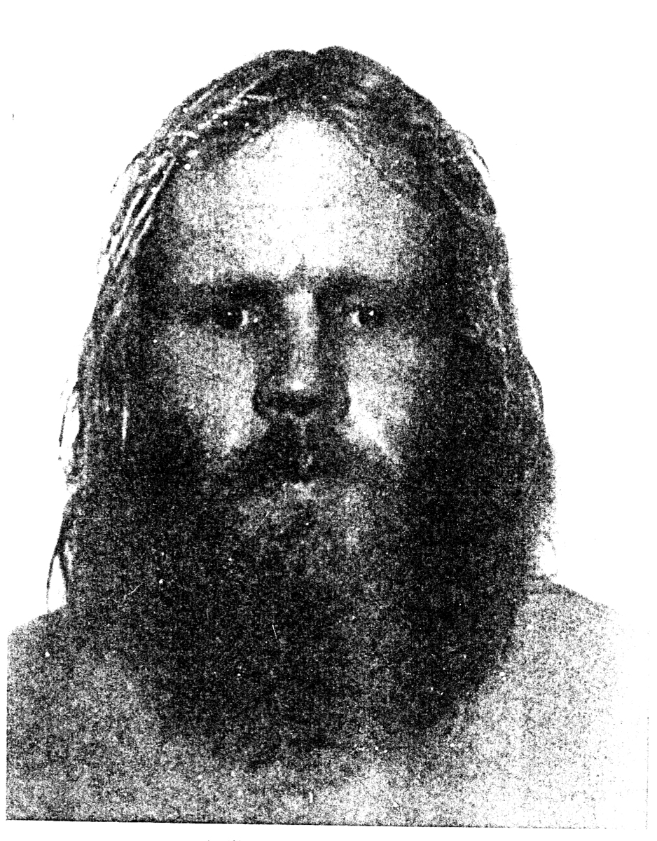 David Moser