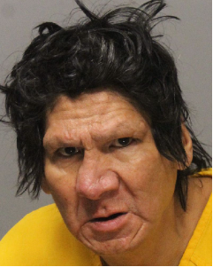 Willard Crazymule