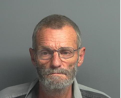 Dennis Domer
