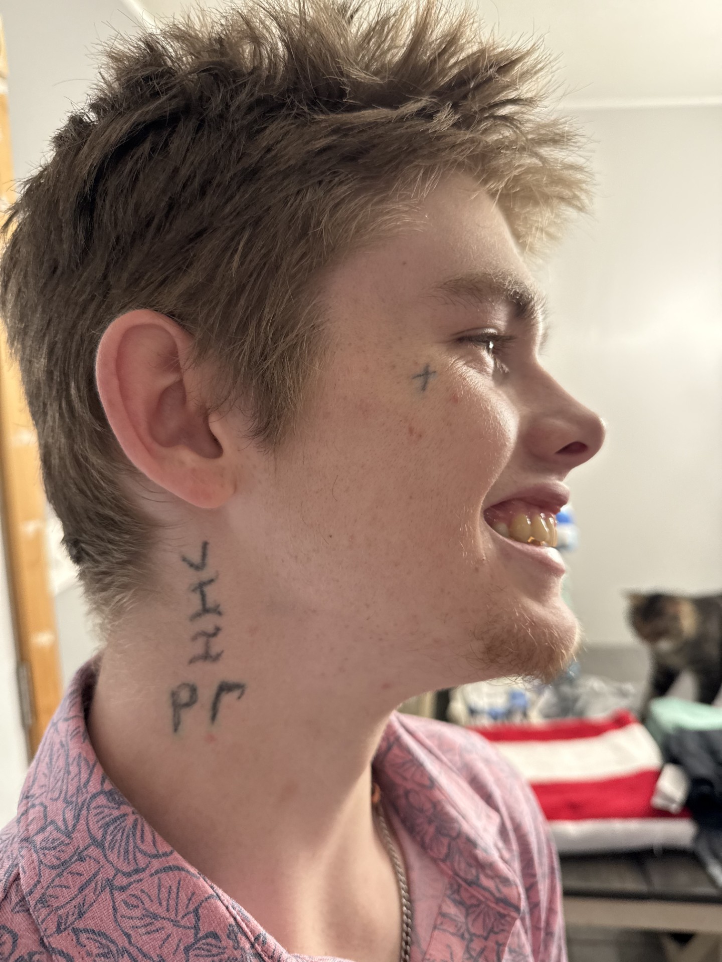 Joshua Harmon