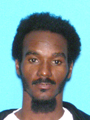 Daniel A Taylor