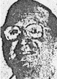 Anthony J. Cavet