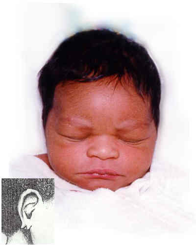 Jamaree Clarence Coleman