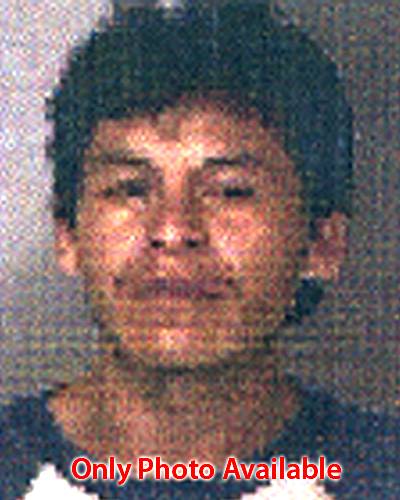 Jose Cruz