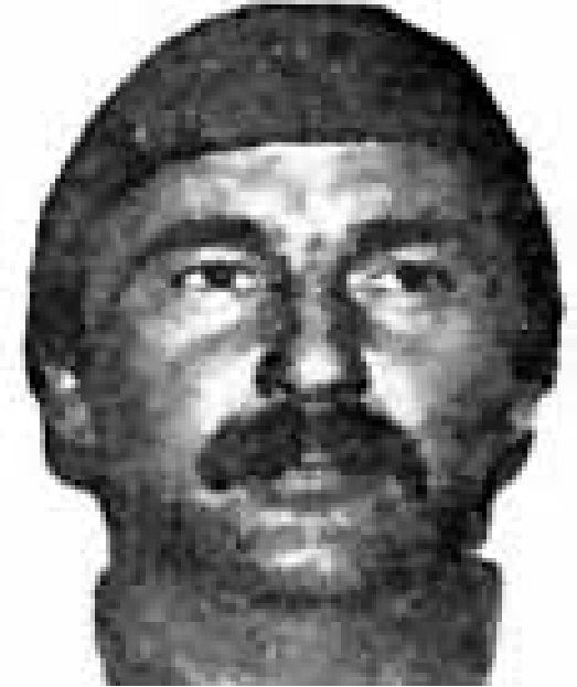 Victor Howard Gray