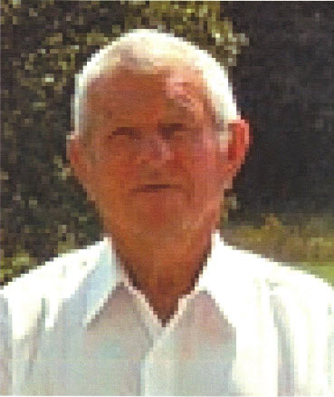 Perry Z Johnson